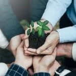 Solutions durables accompagnement conseil formation études